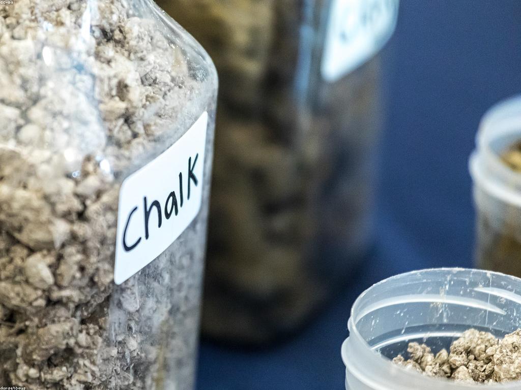 ការប្រកួតត្រីក្នុងវប្បធម៌ខ្មែរ