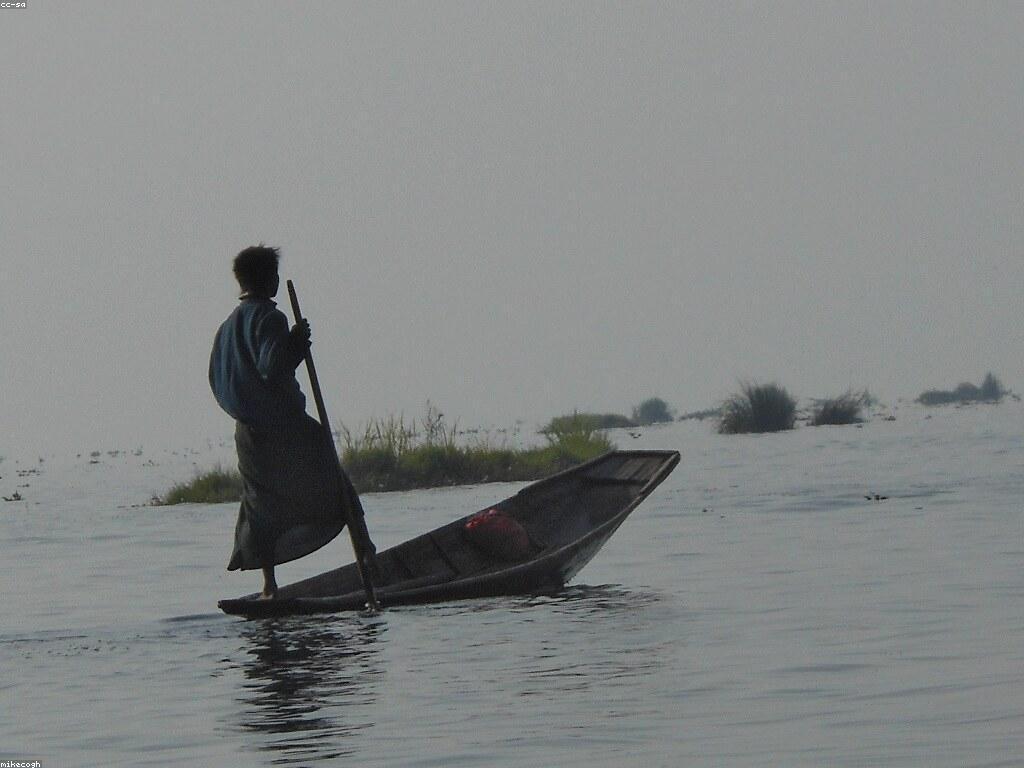 ការប្រកួតត្រី: វិធីសាស្រ្ត និង ការប្រកួតជាមួយអ្នកកំពូល