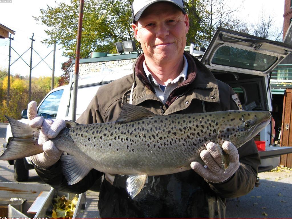 ដៃគូត្រី៖ ការបង្កើតការទំនាក់ទំនងដោយឆ្ពោះទៅរកសមត្ថភាពខ្ពស់